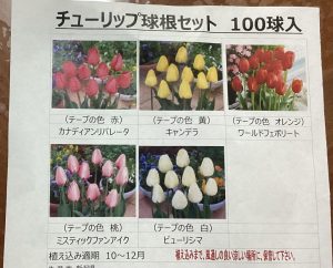 2025.12.24　未就学のお子さんも　やりたいことを選んで